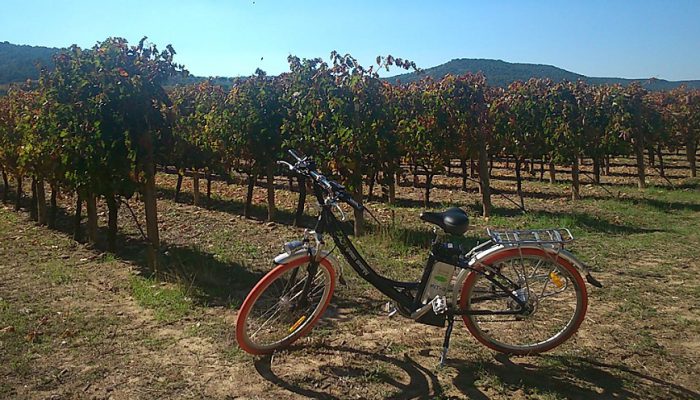 Bici Y Pícnic En Finca Villacreces