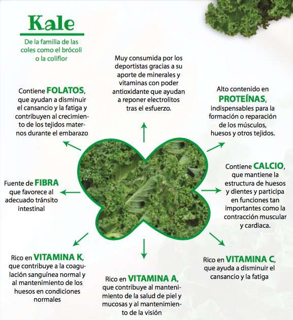 Propiedades del kale – El mundo a bocados